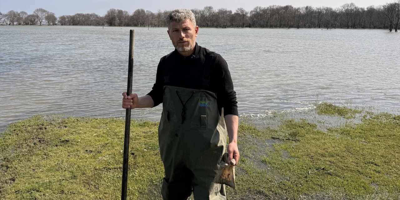 Tıbbi Sülük Avcılığı İçin Soğuk Suyun İçinde Saatler Geçiriyor