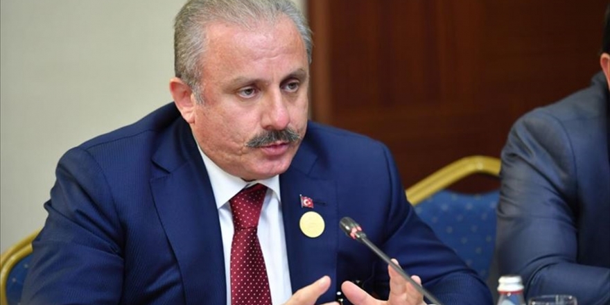 TBMM Başkanı Şentop: Avrupa Konseyinin Çifte Standartlı Uygulamaları Var