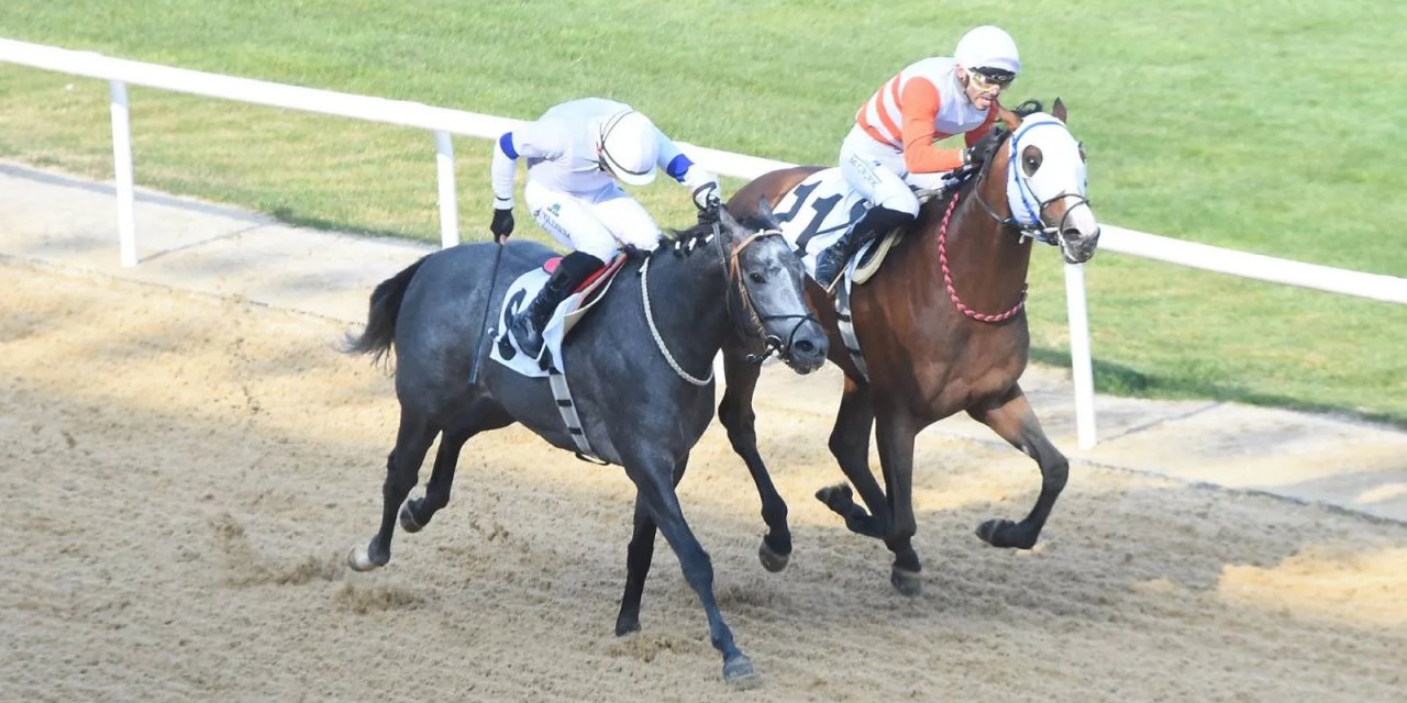 Ege Derbisi'ni, Mustafa Çiçek'le The Protecter Kazandı