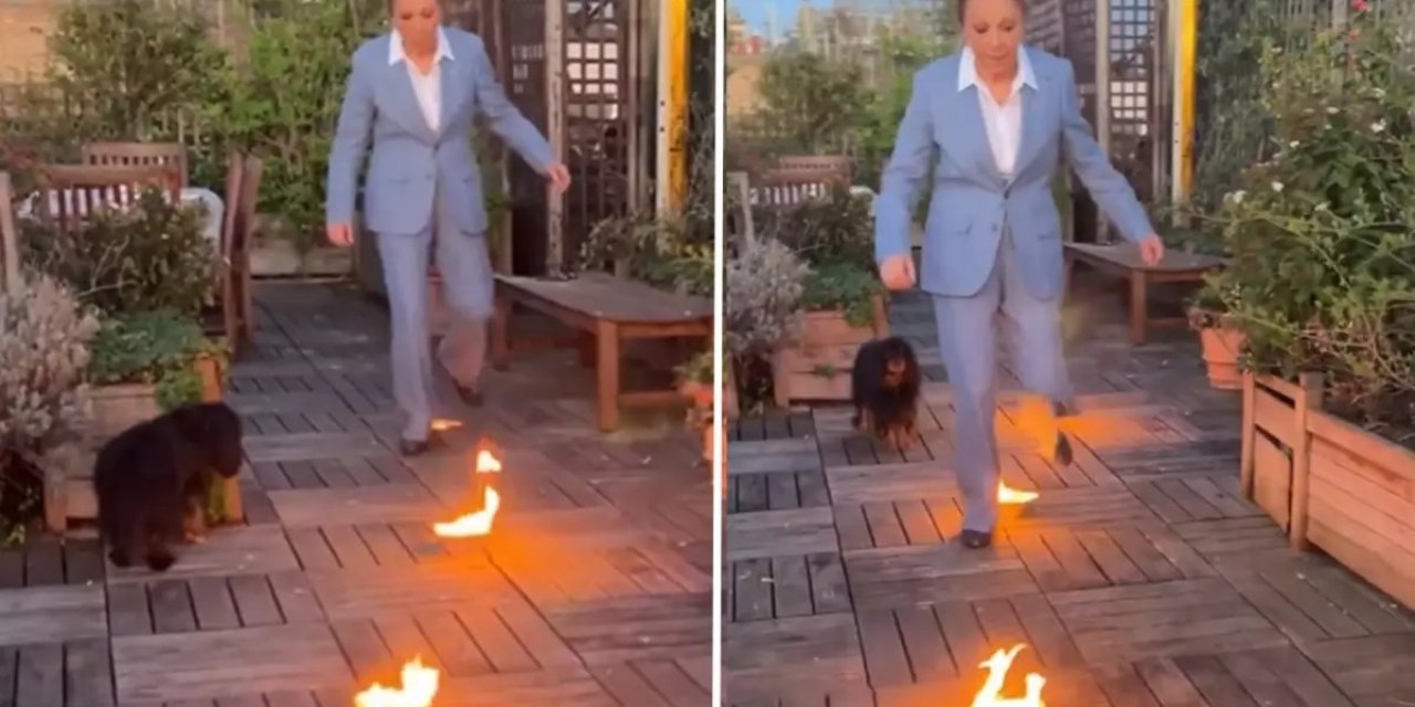 Sürgündeki Kraliçe Farah Pehlevi'den Dikkat Çeken Nevruz Paylaşımı