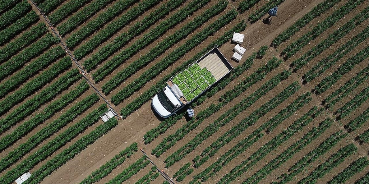 Tarımsal Girdi Fiyat Endeksi Ocakta Yıllık Bazda Yüzde 30,59, Aylık Yüzde 3,86 Arttı