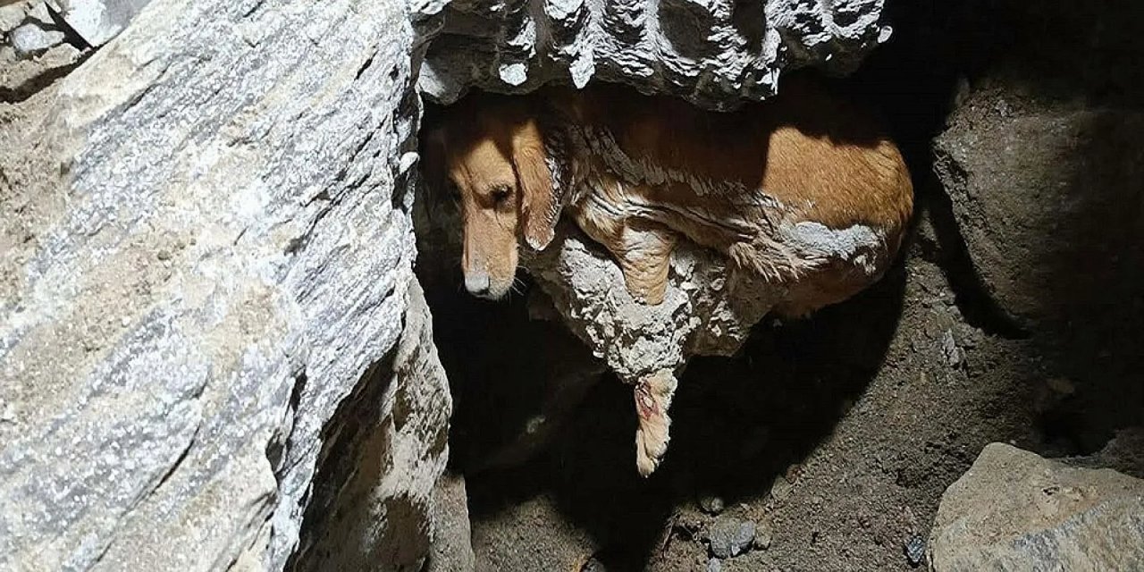 Paris' Kuruyan Betonda Gece Boyu Mahsur Kaldı, 7 Saatlik Çalışmayla Kurtarıldı