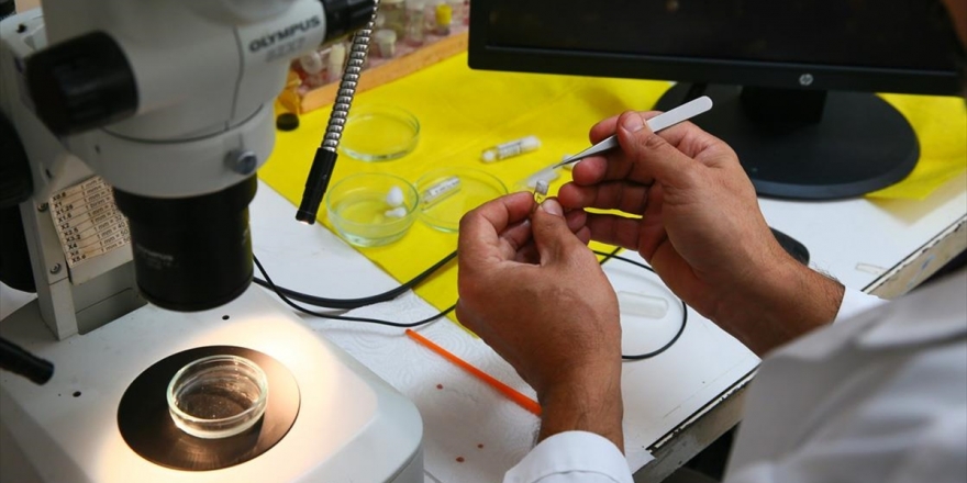 Türk Sularında 56 Yeni Canlı Türü Tespit Edildi