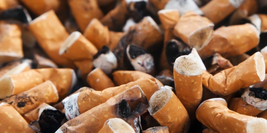 'Sigarayla Mücadelede Ne Yapsak Yeridir'