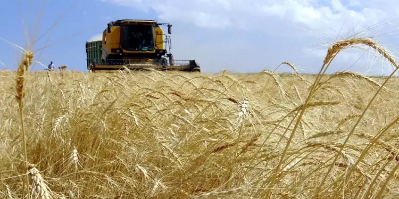 Tarımda Dijital Çağ - Tarım ve Hayvancılıkta Teknolojinin Rolü Tüme Ekosistemiyle Güçleniyor