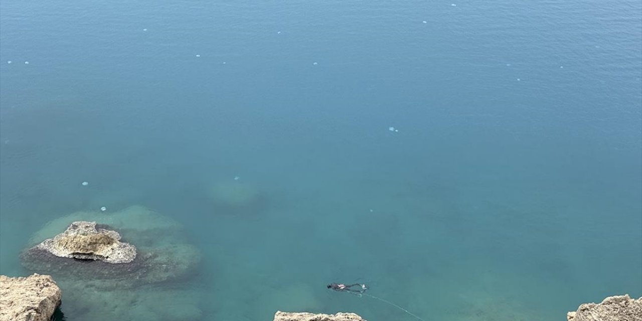 Antalya Körfezi'nde "Göçmen Denizanası" Yoğunluğu Yaşanıyor