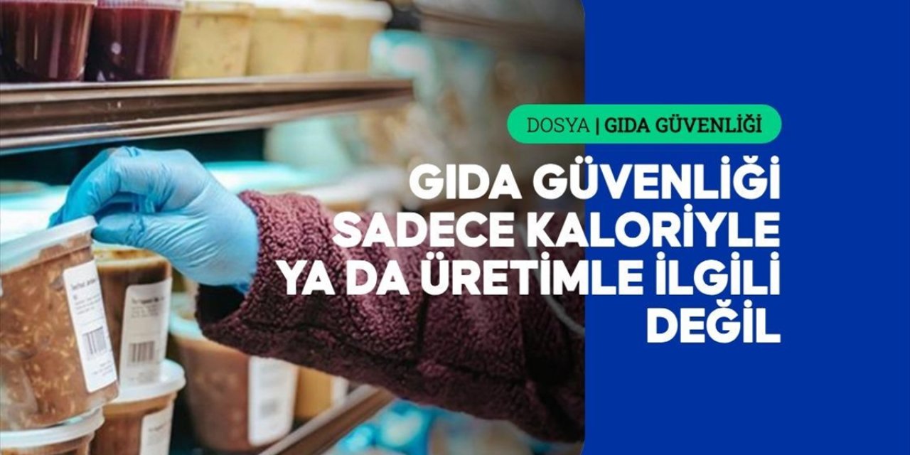 Üretim Odaklı Küresel Gıda Sistemi, Halk Sağlığını Göz Ardı Ediyor