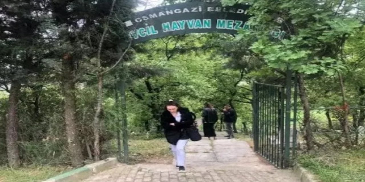 Bursa'da Türkiye'nin İlk Evcil Hayvan Mezarlığına Bayram Ziyareti