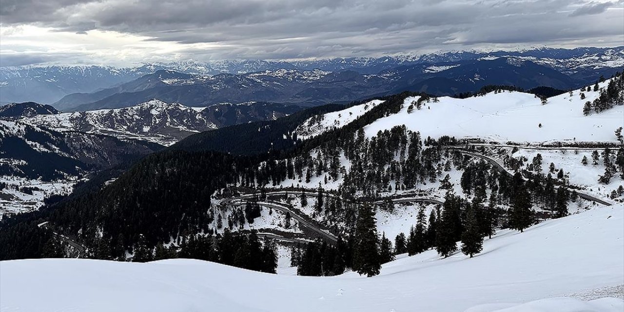 Ardahan'da Kar ve Sis Ulaşımı Olumsuz Etkiliyor