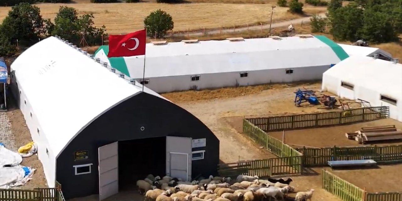 Çadır Ağıl Desteğiyle Büyüttüğü İşinde Küçükbaş Hayvan Sayısını Artırdı