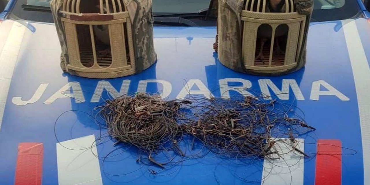 Kırşehir'de Kaçak Keklik Avcıları Yakalandı