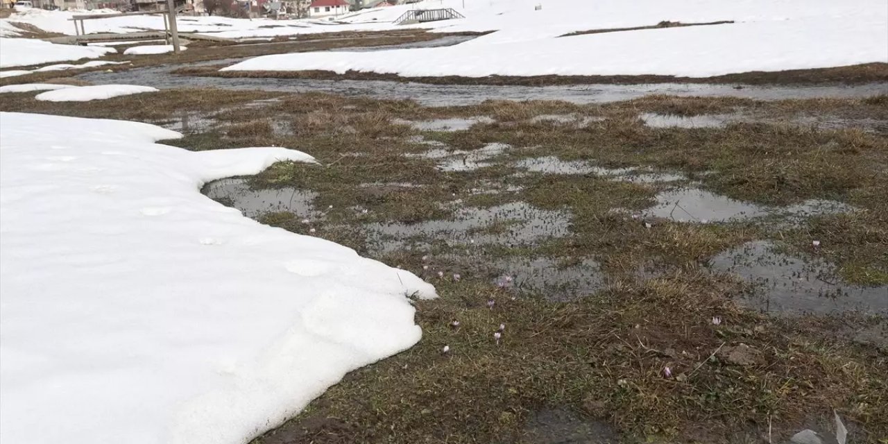 Eğriçimen Yaylası Baharla Canlandı