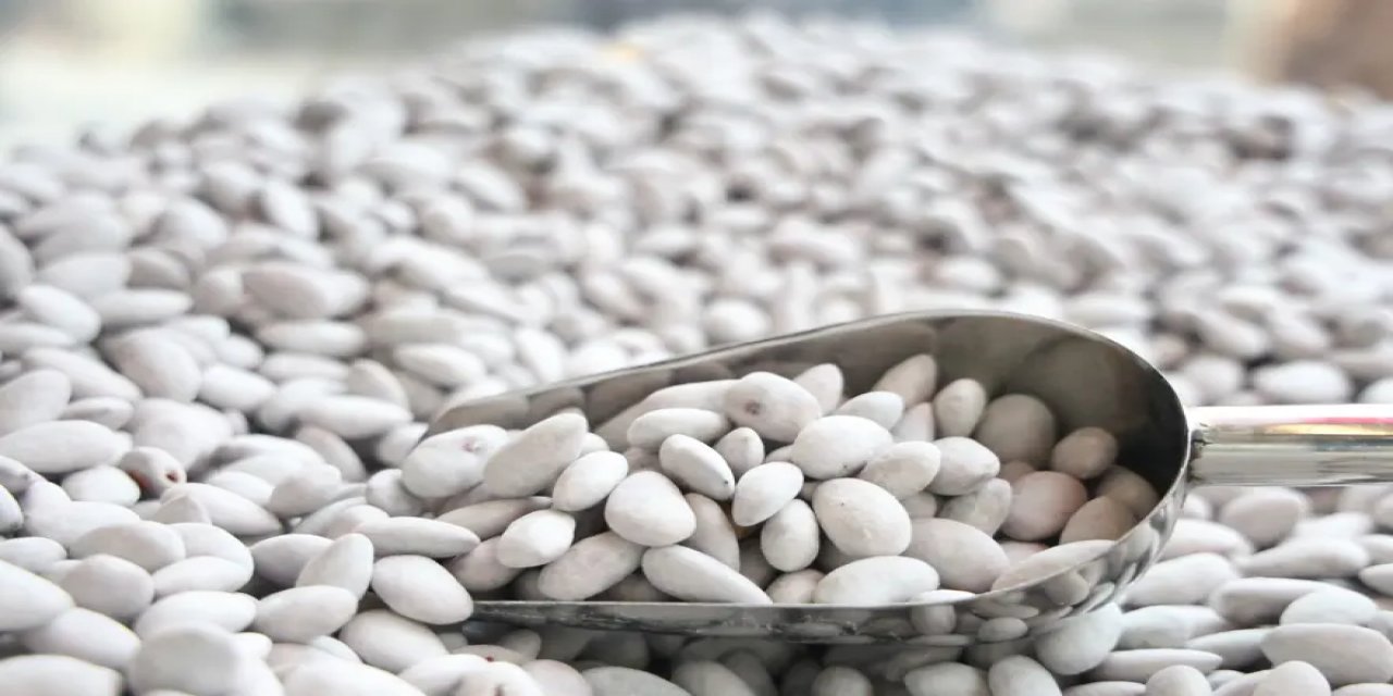 Kilolarca Satılıyordu, Beyaz Altın Şimdi Tonlarca Satıldı. Kan Şekerini Dengeliyor