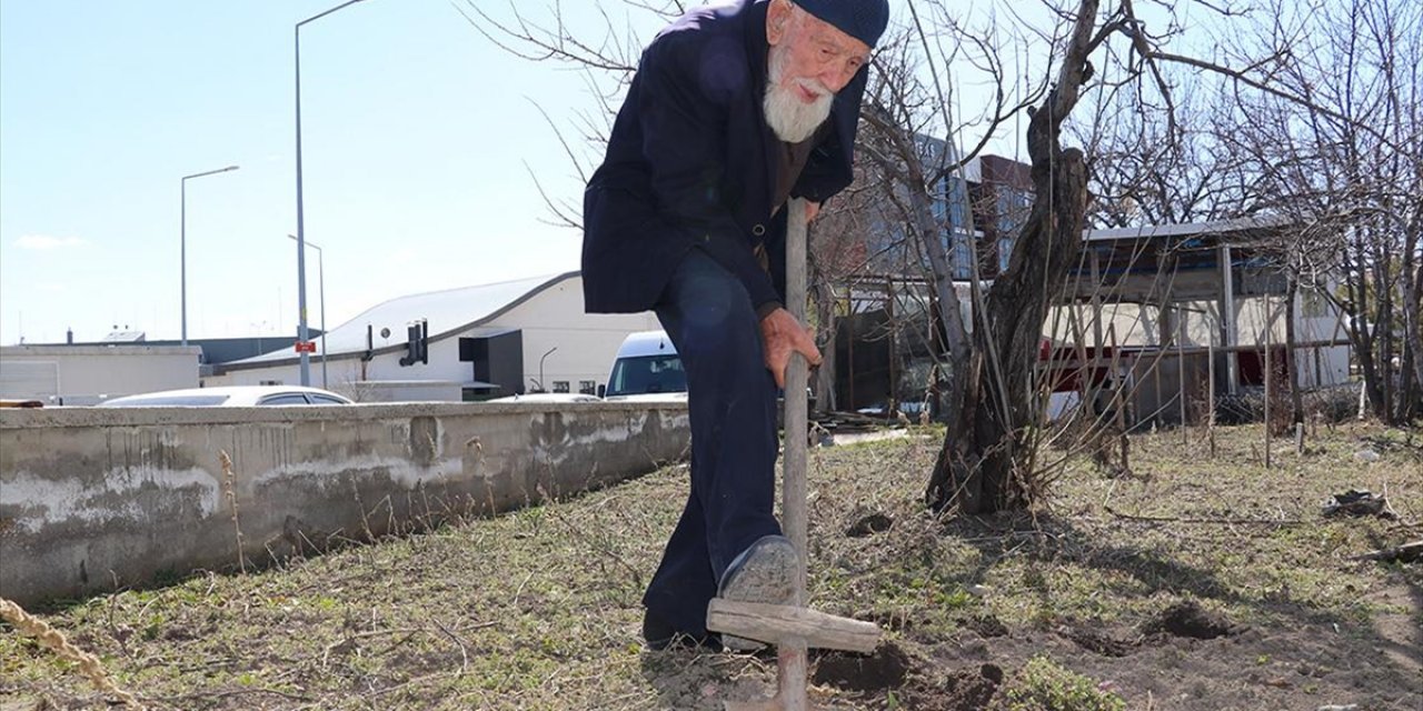 Sivas'ta Yaşayan 99 Yaşındaki "Kaya Dede" Enerjisiyle Dikkati Çekiyor