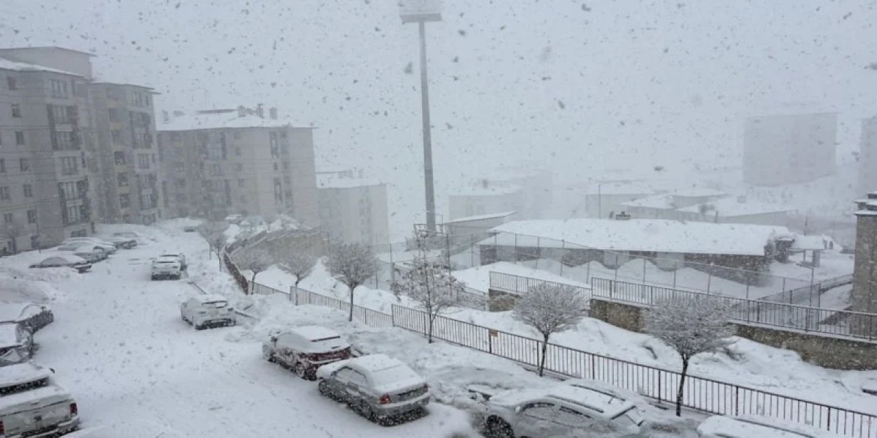 Hakkari Yüksekova Kar Altında