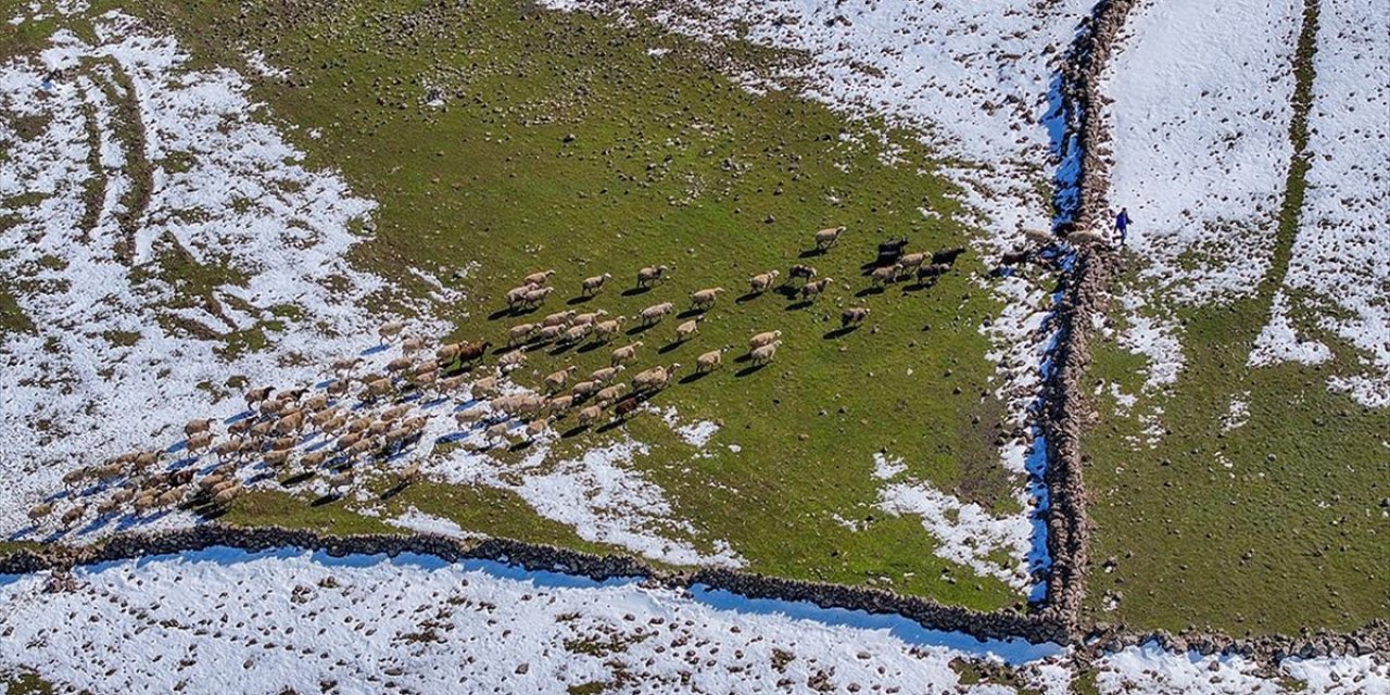 Mevsimsel Yağışlar Karacadağ'da Besicilerin Yüzünü Güldürdü