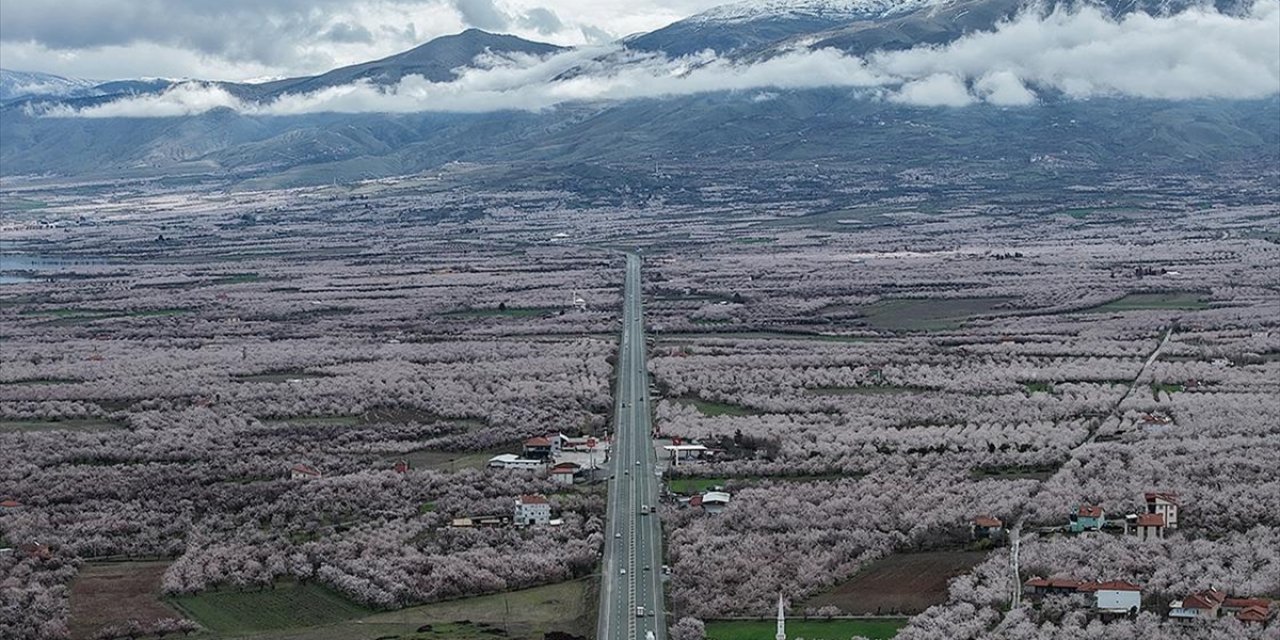 "Dünya Kayısı Başkenti" Malatya Beyaz Gelinliğini Giydi