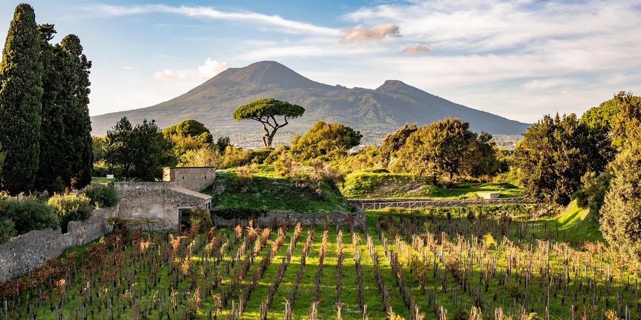 Vezüv’ün Küllerinden Kadehe: Pompeii’nin 2.000 Yıllık Bağ Mirası Yeniden Canlanıyor