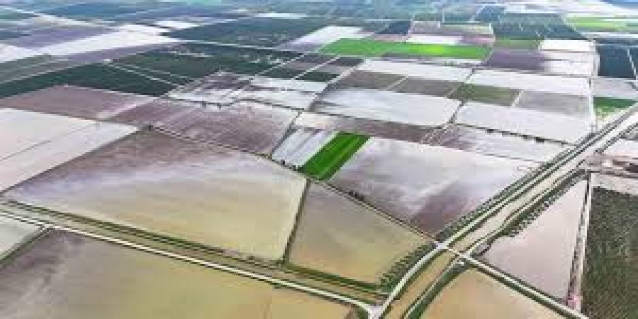 Adana'da Aşırı Yağış Tarımı Olumsuz Etkiledi