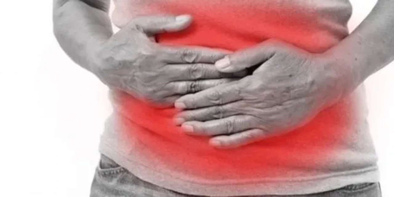 "At Nalı Böbrek" Birçok Hastalığa Zemin Hazırlayabiliyor