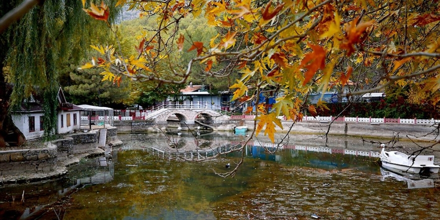 Kuğulu Milli Parkı Sonbahar Görüntüsüyle Büyülüyor