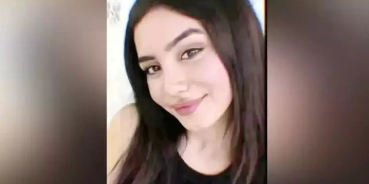 Aleyna'nın Cinayet Şüphelisinin Ağabeyi de Eski Eşini Katletmiş!