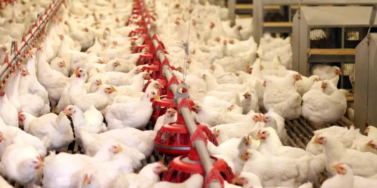 Bir Dönemin İhracat Şampiyonuydu: 40 Yıllık Marka İcradan Satışa Çıkarıldı