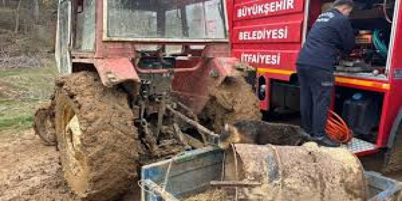 Sakarya'da Kafası Varile Sıkışan Köpek İtfaiye Ekiplerince Kurtarıldı