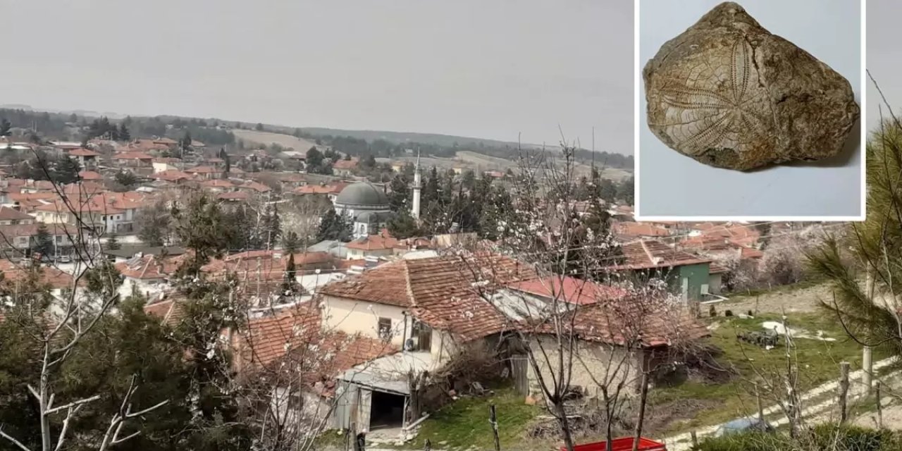 Baklan'da Milyonlarca Yıllık Deniz Yıldızı Fosili Bulundu