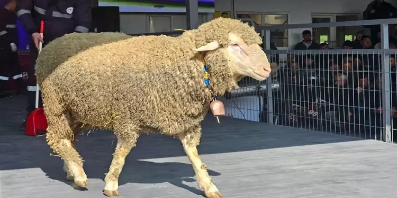 Lüks Otomobil Fiyatına Koç! Fiyatı Dudak Uçuklattı