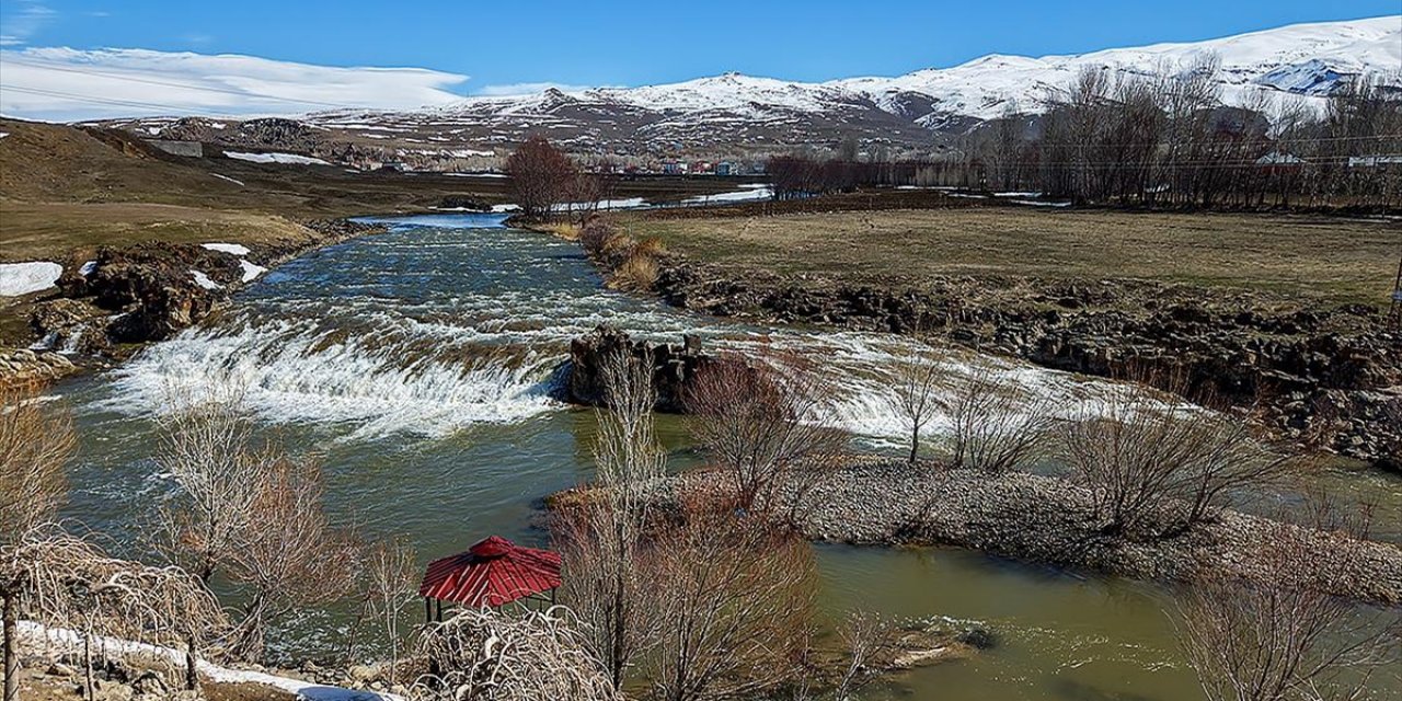 Artan Yağışlar "Van Gölü'nün İncileri"nin Üreme Dönemini Sorunsuz Geçirmesini Sağlayacak