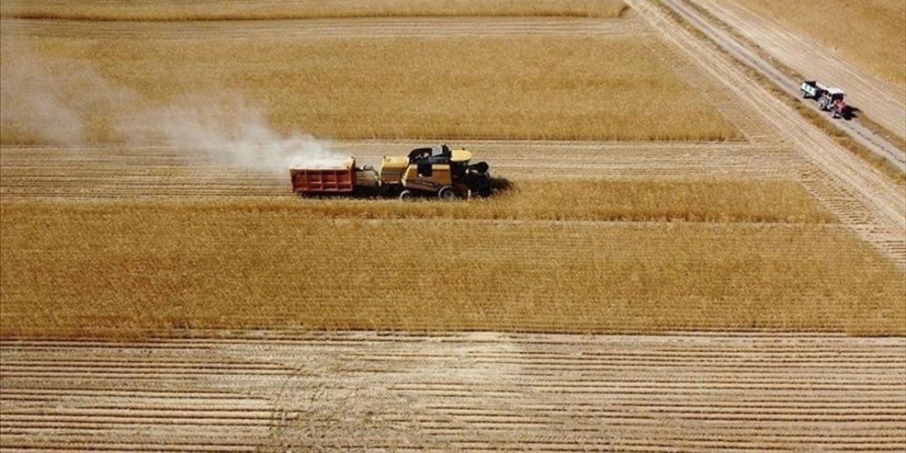 Çiftçilere 8,7 Milyar Lira Tarımsal Destekleme Ödemesi Bugün Yapılacak