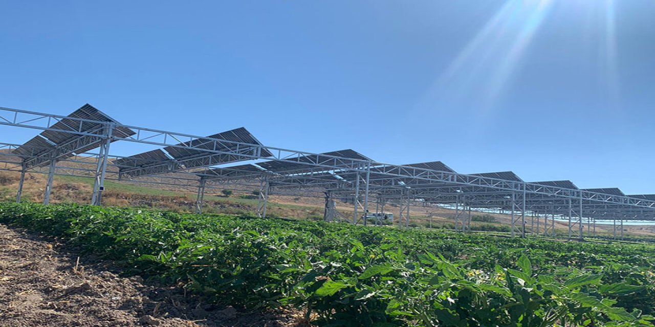 Geliştirdiği Projeyle Çiftçilerin Tarlada Suyu Etkin ve Verimli Kullanmasını Sağlayacak