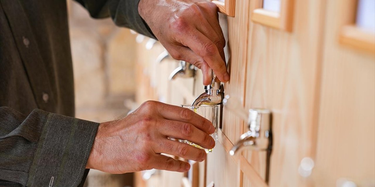 Anadolu'nun Zeytinyağı Mirası İzmir'deki "Tadım Kütüphanesinde" Buluştu