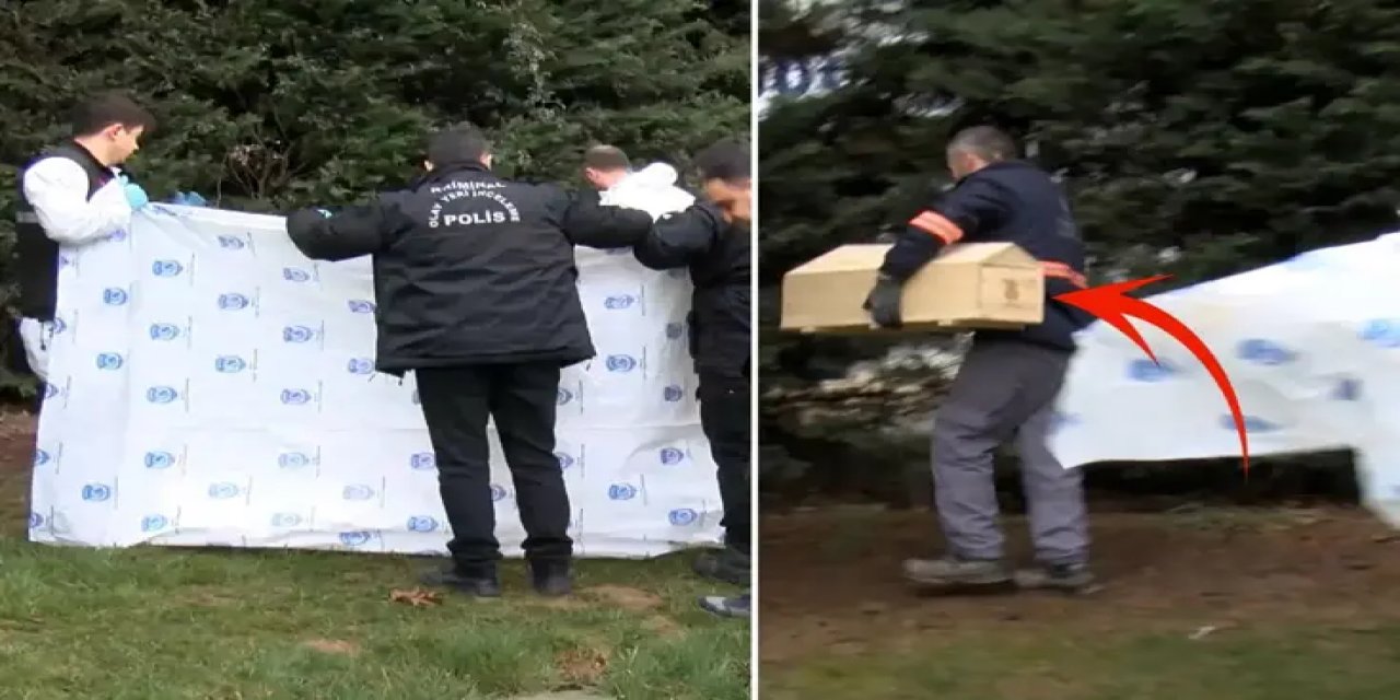 Yol Kenarında Yeni Doğmuş Bebek Cesedi Bulundu