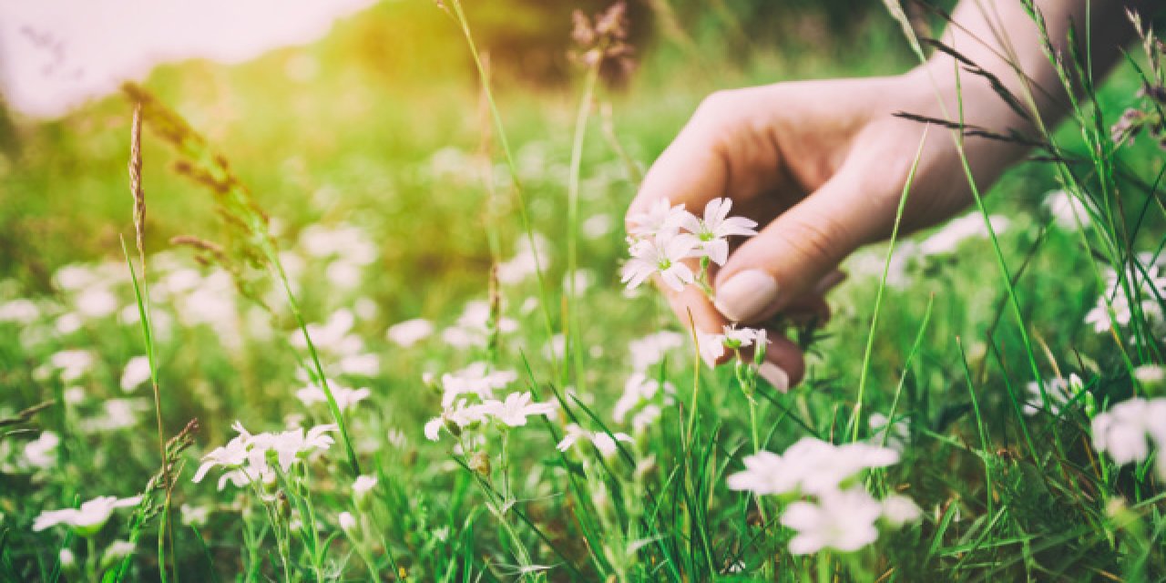 İyimser Olmanın 8 Yolu