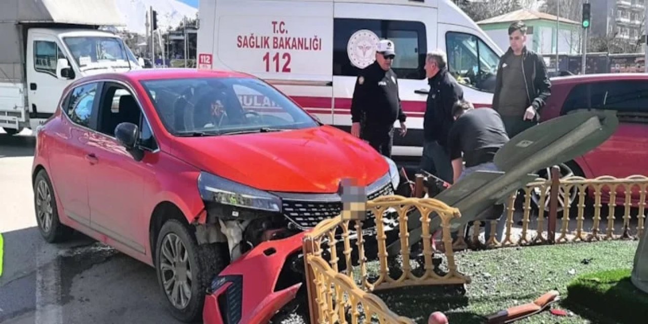 Erzurum'da Arabada Sürücünün Üzerine Atlayan Köpek Kazaya Neden Oldu