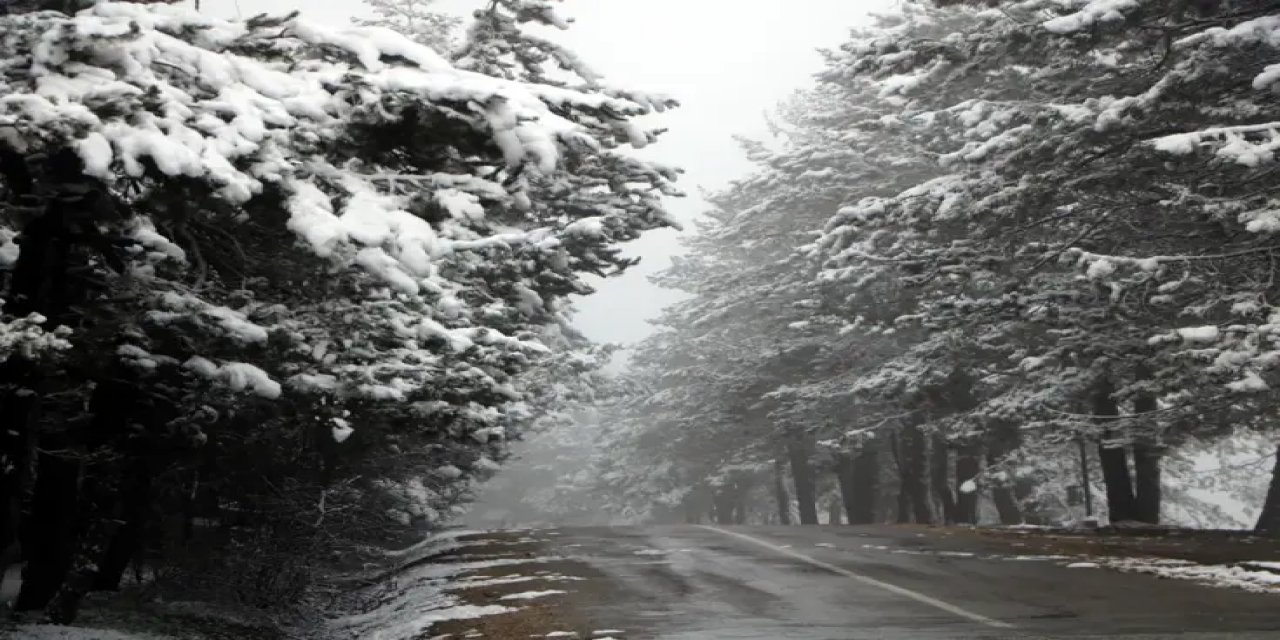 Abant, Beyaz Örtüyle Kaplandı