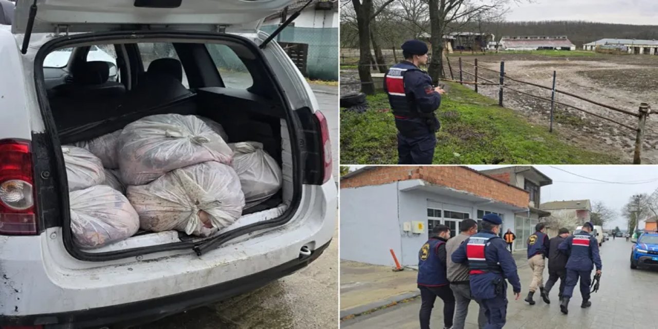 İstanbul’da At Eti Operasyonu: 306 Kilo Ele Geçirildi, 3 Gözaltı