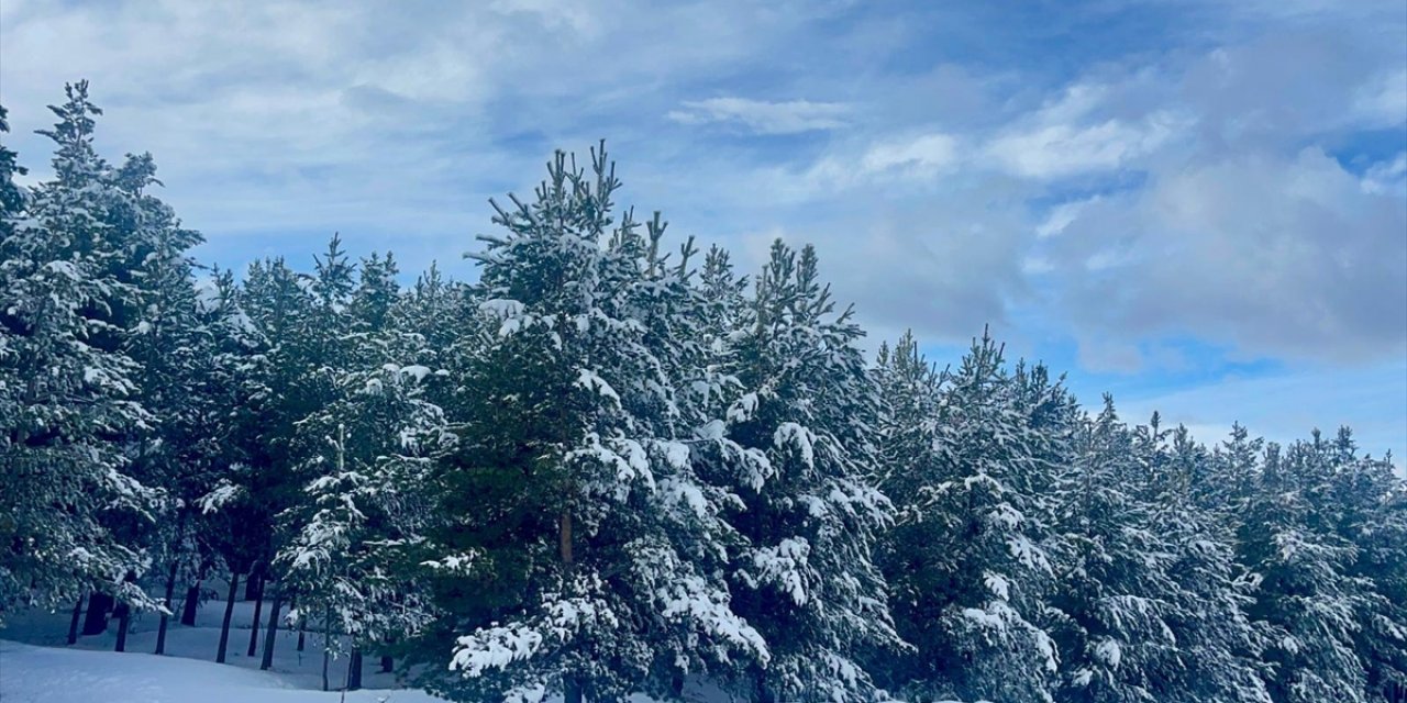 Kars ve Ardahan'da Ekiplerin Karla Mücadele Çalışması Sürüyor