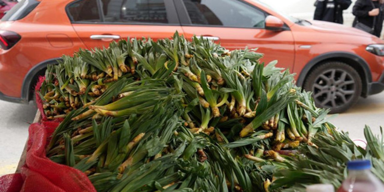 Dere Kenarlarında Kendiliğinden Yetişiyor! Bedava Toplanıyor: 200 Liraya Satılıyor