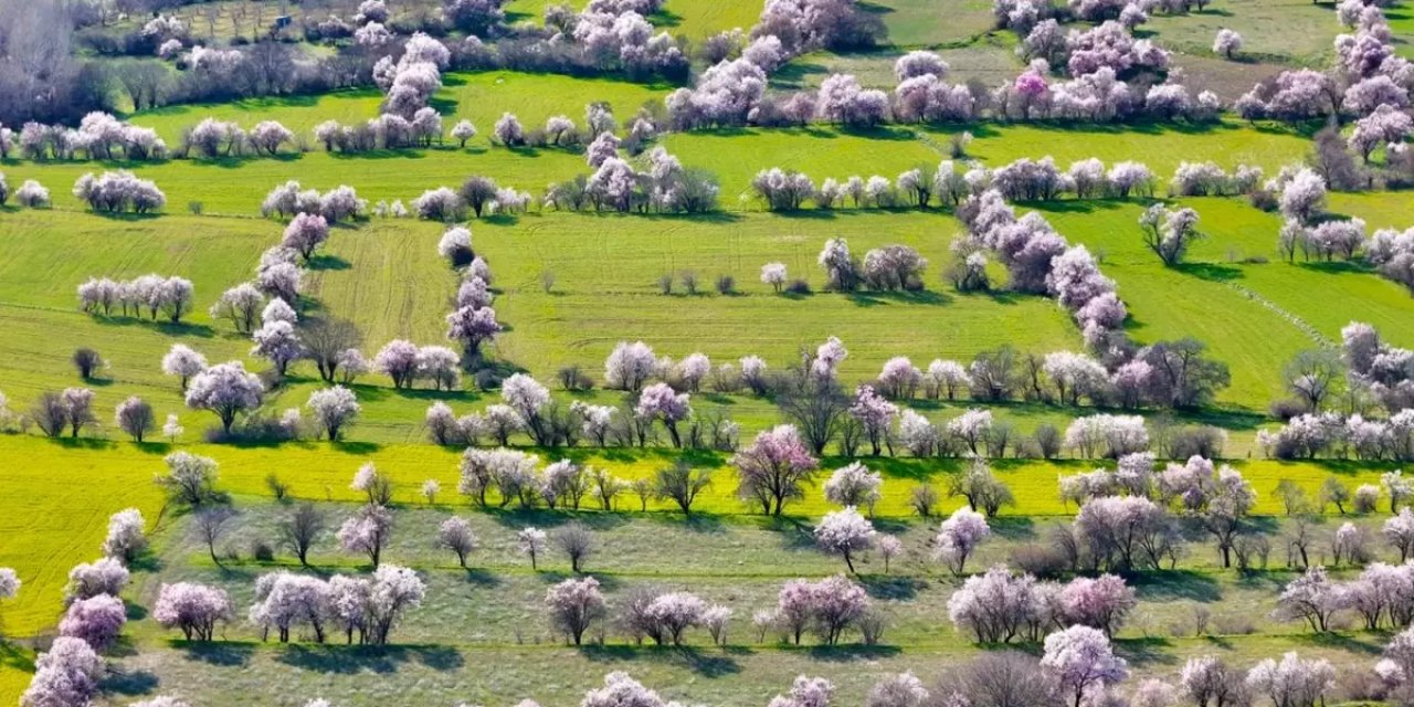 Görüntü İsviçre'den Değil Türkiye'den