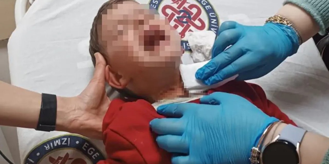 İzmir’de Parkta Dehşet: 2 Yaşındaki Çocuk Bıçaklandı