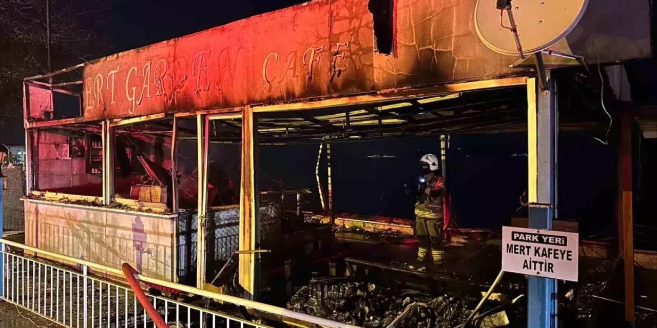 Gemlik'te Yangın Kontrol Altında