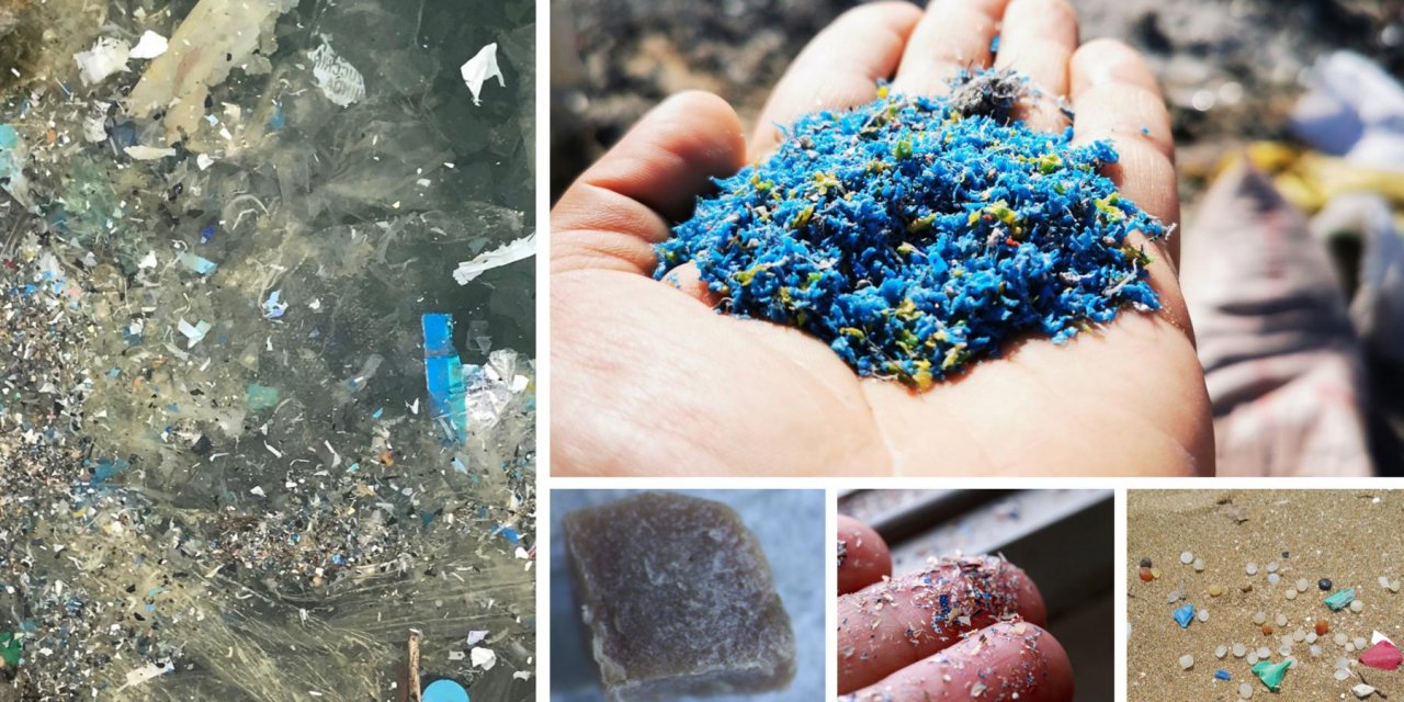 Mikroplastikler Su Ürünleri Yetiştiriciliğinde Üretimi Düşürebilir