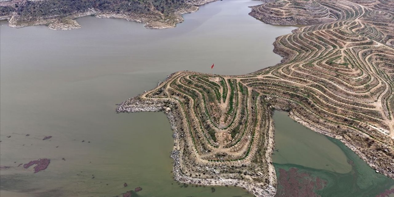 Tarım Kenti Manisa'da Barajların Yükselen Su Seviyesi Verim Beklentisini Artırdı