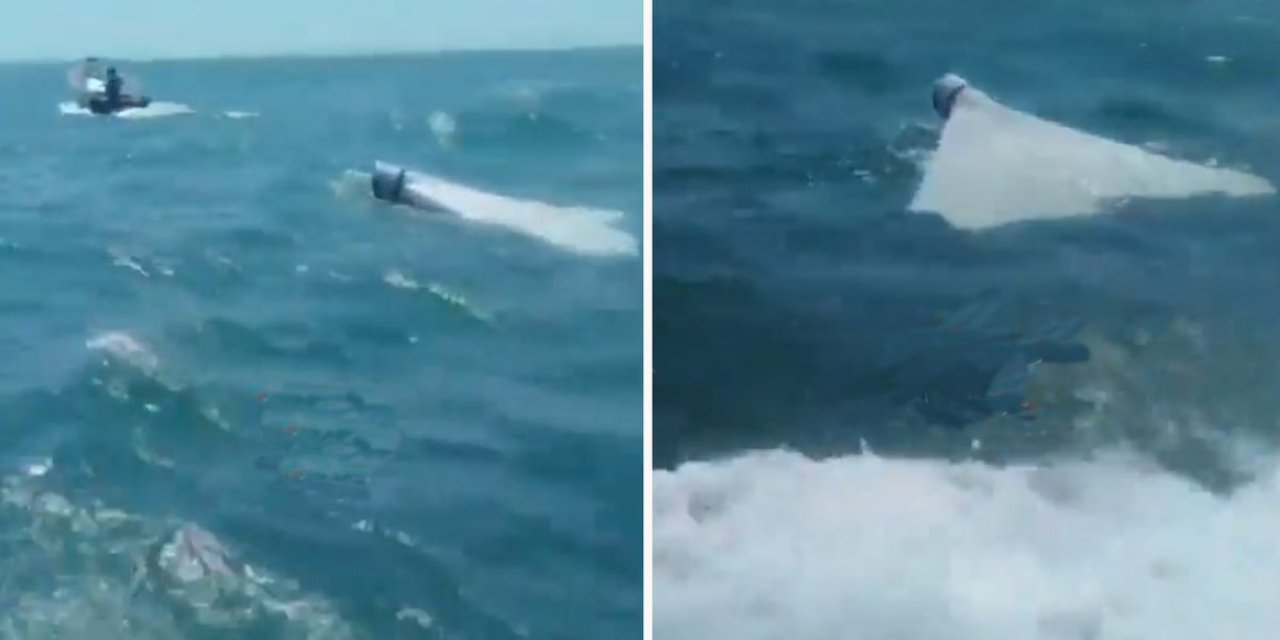 İran, ABD İHA'sını Düşürdü