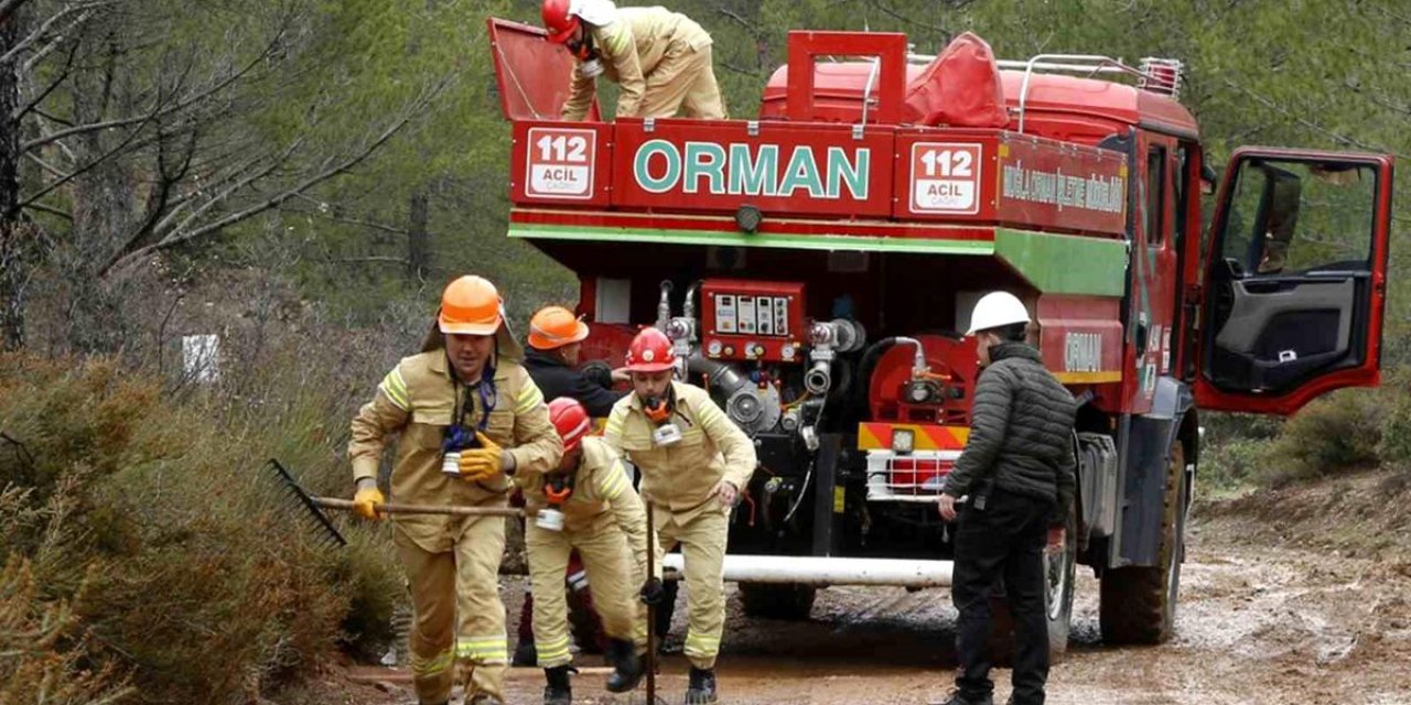Türkiye Ormancılık Yarışmaları Devam Ediyor