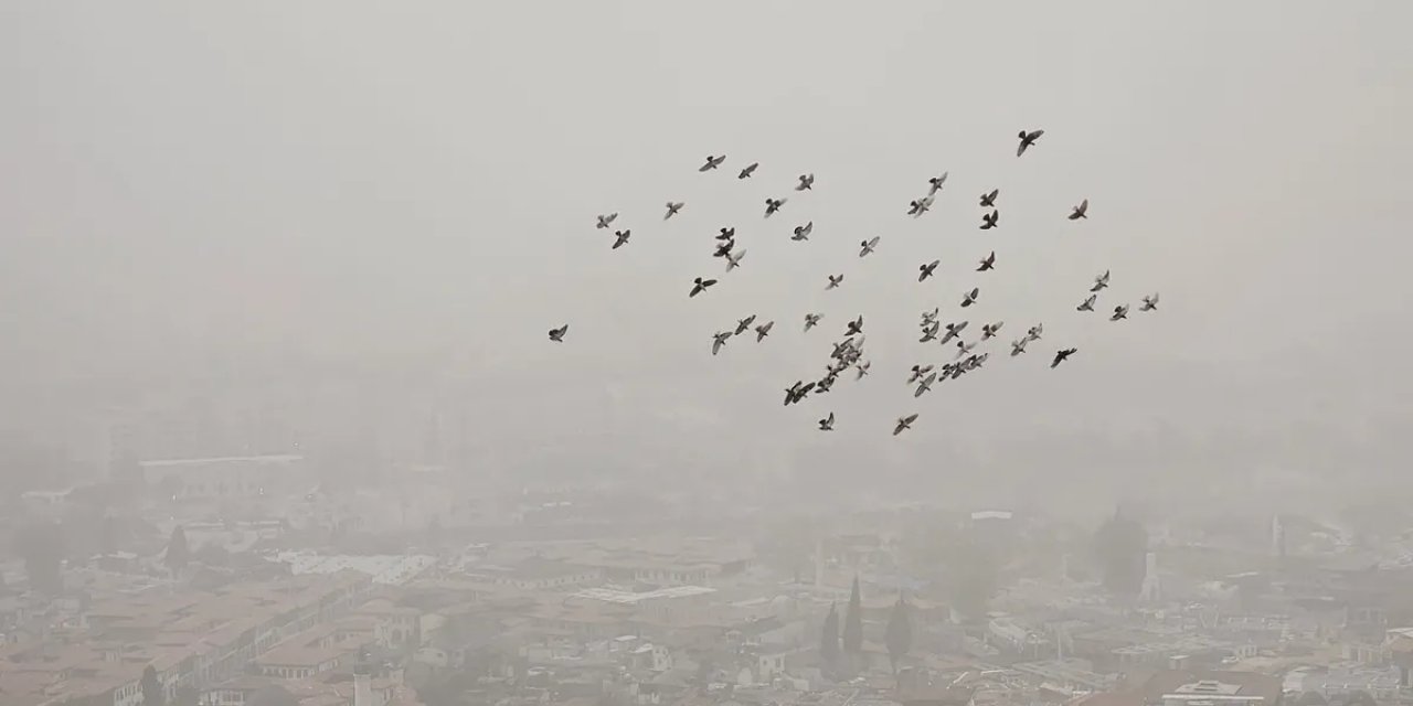 Hatay'da Toz Taşınımı Etkisini Sürdürüyor