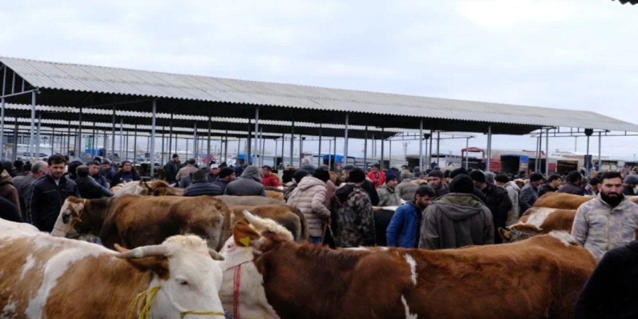 Türkiye'nin En Büyük Canlı Hayvan Pazarında Yoğunluk